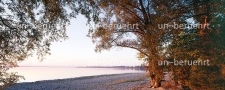 Chiemsee