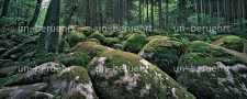 Granitblöcke im Oberpfälzer Wald