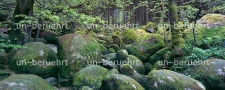 Oberpfälzer Wald