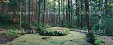 Fichtelgebirge_2
