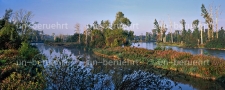 Isar-Auwald