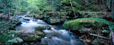 Nationalpark Bayerischer Wald